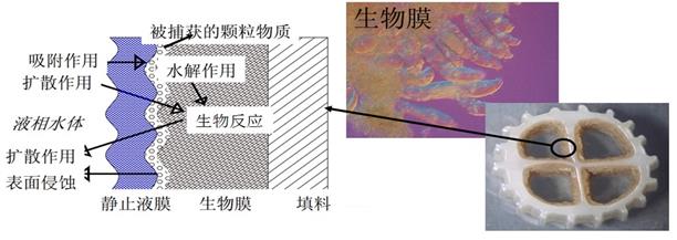 醫療制藥廢水處理